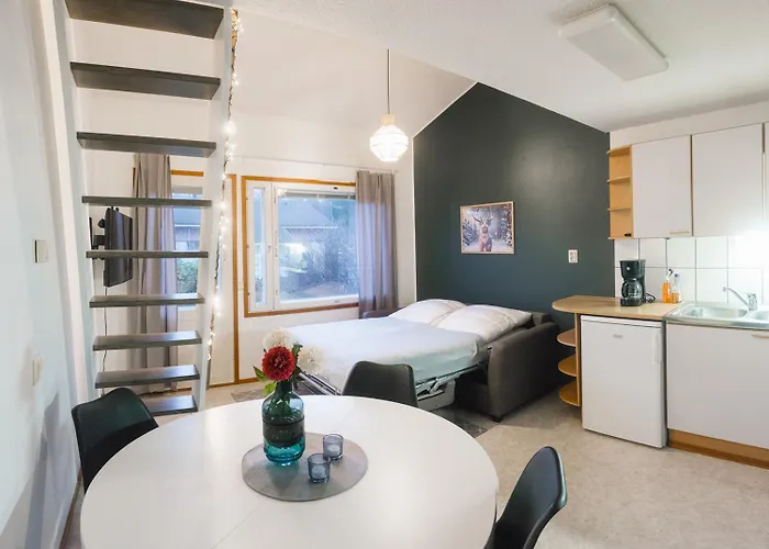 Ahkio 3 公寓 罗瓦涅米